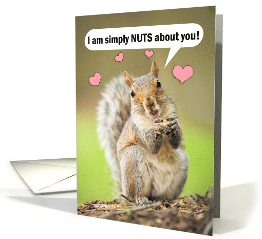 Happy Valentine's Day Cute Squirrel Nuts About You Humor card