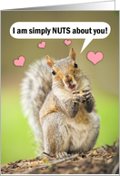 Happy Valentine’s Day Cute Squirrel Nuts About You Humor card