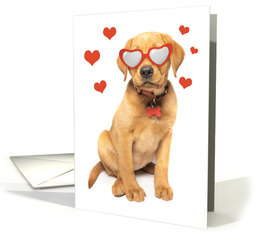 Happy Valentine's Day Red Fox Labrador Puppy Humor card (1663884)