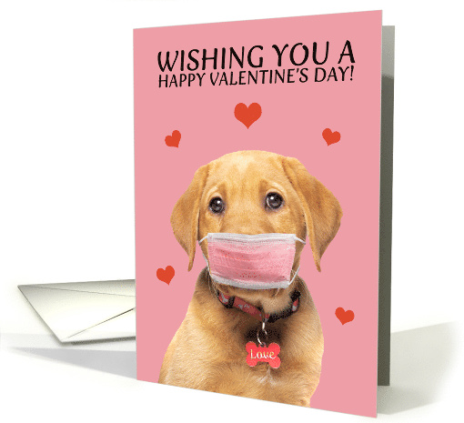 Happy Valentine's Day Labrador in Face Mask Humor card (1663888)