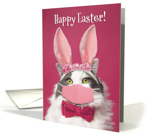 Happy Easter Cat in Bunny Ears and Face Mask Humor card (1664940)