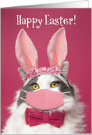 Happy Easter Cat in Bunny Ears and Face Mask Humor card