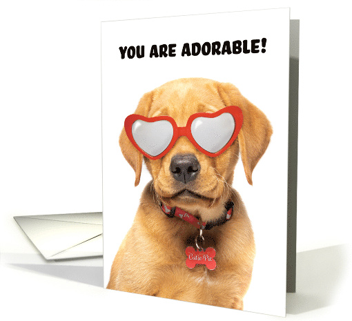 Happy Valentine's Day Cute Labrador Puppy in Heart Glasses card