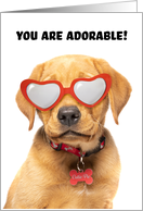Happy Valentine’s Day Cute Labrador Puppy in Heart Glasses card