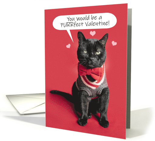 Happy Valentine's Day Cute Cat Dressed Up Humor card (1665786)