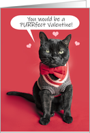 Happy Valentine’s Day Cute Cat Dressed Up Humor card