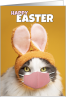 Happy Easter Cat in...