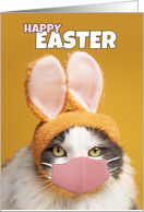 Happy Easter Cat in Bunny Ears and Face Mask Humor card