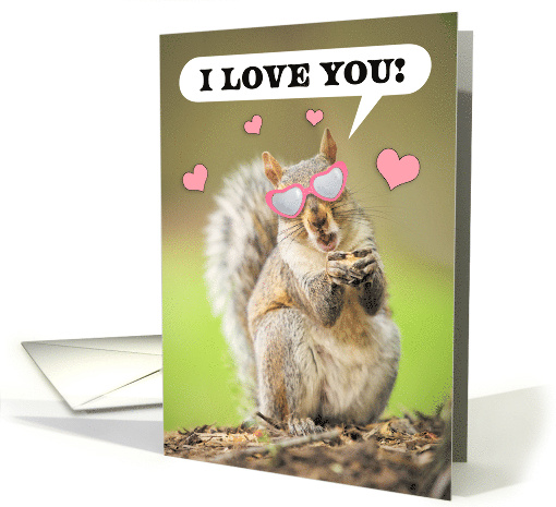 Happy Valentine's Day I Love You Squirrel Humor card (1666254)