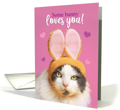 Happy Valentine's Day Funny Cat in Bunny Ears Humor card (1666620)