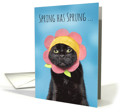 Happy Easter Cute Cat in Flower Hat Humor card (1667104)