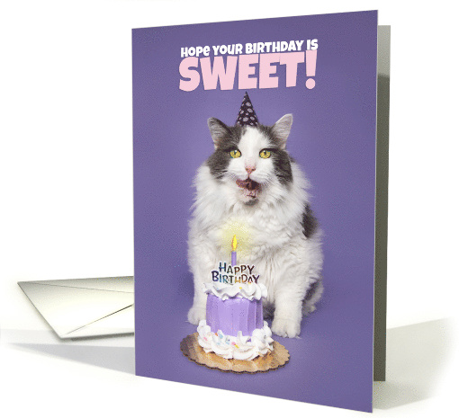Happy Birthday Cat With Cake Licking Face Humor card (1667316)