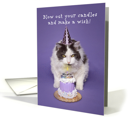 Happy Birthday Cat Blowing Candle On Cake Humor card (1667646)