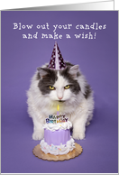 Happy Birthday Cat Blowing Candle On Cake Humor card