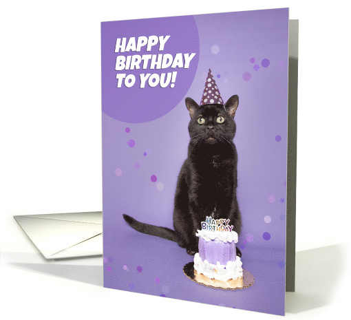 Happy Birthday Black Cat in Party Hat With Cake Humor card (1667798)