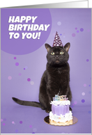 Happy Birthday Black Cat in Party Hat With Cake Humor card