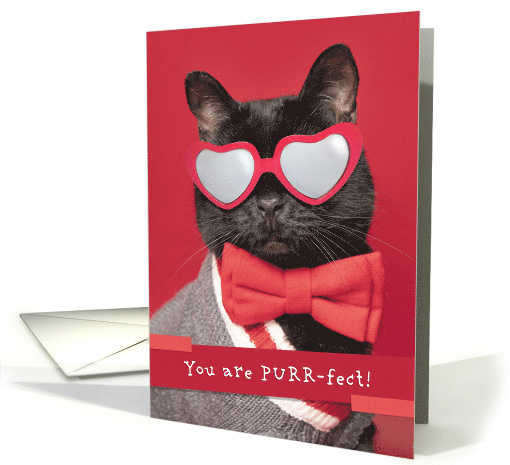 Happy Valeneitne's Day Cute Cat in Heart Glasses Humor card (1668474)