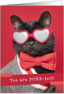 Happy Valeneitne’s Day Cute Cat in Heart Glasses Humor card