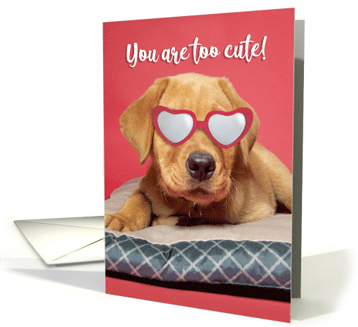 Happy Valeneitne's Day Cute Labrador Puppy Humor card (1668848)