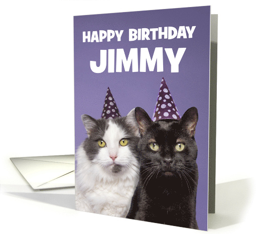 Happy Birthday Custom Name Funny Cats in Hats Humor card (1669260)