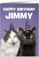 Happy Birthday Custom Name Funny Cats in Hats Humor card