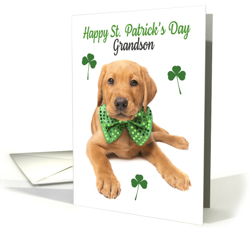 Happy St Patrick's Day Grandson Cute Red Fox Lab Puppy card (1669660)