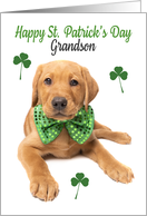 Happy St Patrick’s Day Grandson Cute Red Fox Lab Puppy card