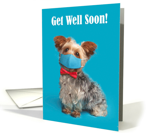 Get Well Soon Cute Yorkie Dog in a Face Mask and Bow Tie Humor card