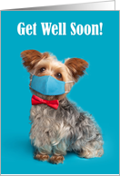 Get Well Soon Cute Yorkie Dog in a Face Mask and Bow Tie Humor card