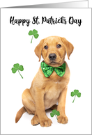 Happy St Patrick’s Day For Anyone Cute Red Fox Lab Puppy card