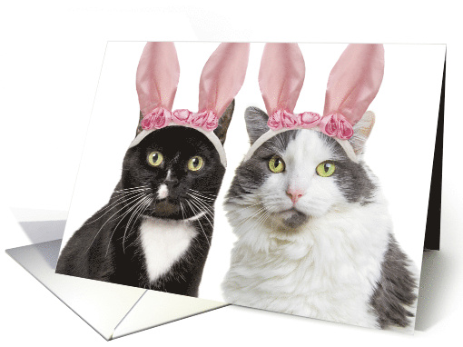 Happy Easter Two Cute Cats in Bunny Ears Humor card (1670560)