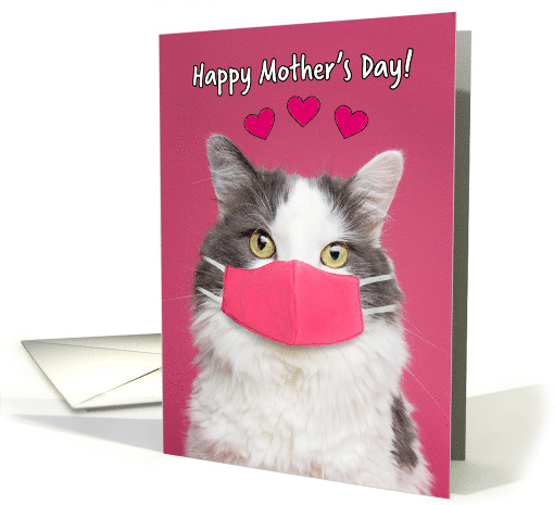 Happy Mother's Day Cute Cat in Pandemic Face Mask Humor card (1670896)