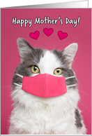 Happy Mother’s Day Cute Cat in Pandemic Face Mask Humor card