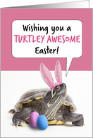 Happy Easter For Anyone Cute Turtle in Bunny Ears Humor card