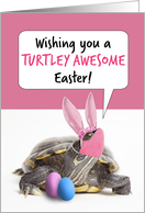 Happy Easter Turtle in Pandemic Face Mask and Bunny Ears card