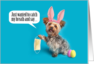 Happy Easter Yorkie...