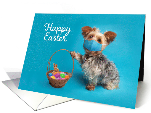Happy Easter Yorkie Dog in Face Mask With Easter Basket Humor card