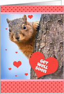 Get Well Soon Squirrell With Hearts Humor card