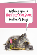 Happy Mother’s Day Cute Turtle With Tulip Humor card