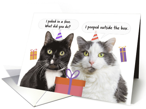 Happy Birthday Funny Cats Talking Humor card (1671654)