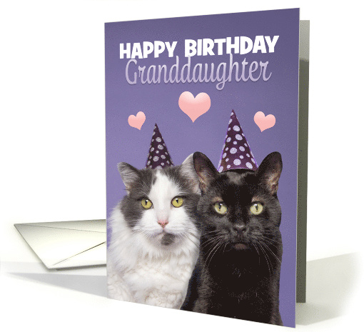 Happy Birthday Granddaughter Two Cute Cats in Hats Humor card