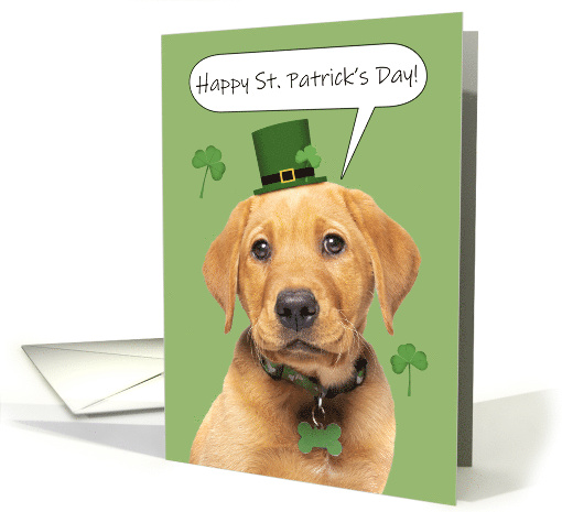 Happy St Patrick's Day Cute Labrador Puppy card (1672600)
