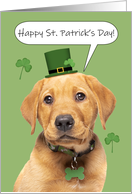 Happy St Patrick’s Day Cute Labrador Puppy card