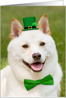 Happy St Patrick’s Day Anyone Shiba Inu Dog In Hat Humor card