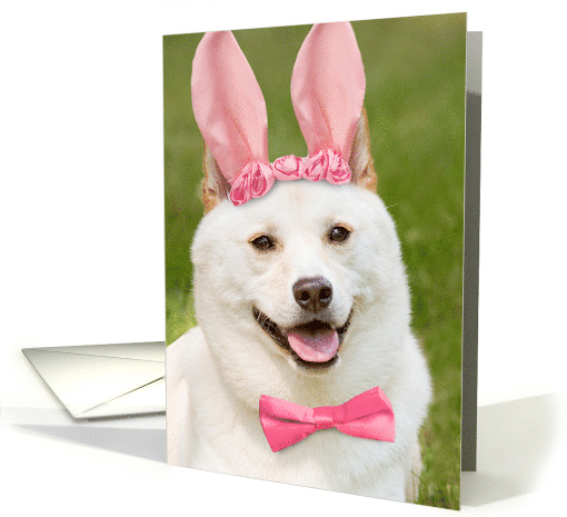 Happy Easter Anyone Shiba Inu Dog In Bunny Ears Humor card (1673768)