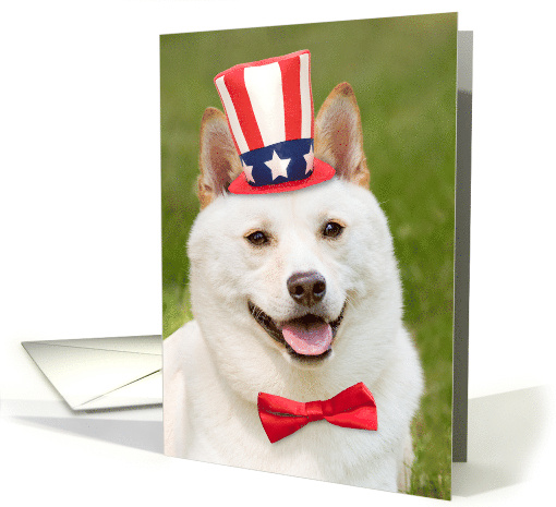 Happy Fourth of July Anyone Shiba Inu Dog In Patriotic Hat Humor card