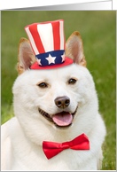 Happy Fourth of July Anyone Shiba Inu Dog In Patriotic Hat Humor card