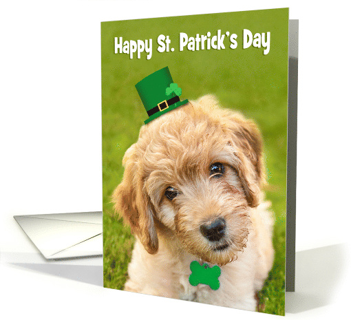 Happy St. Patrick's Day Cute Labradoodle Dog in... (1674040)