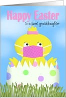 Happy Easter Granddaughter Girl Chick Wearing Covid-19 Face Mask card