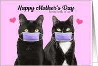 Happy Mother’s Day From Both of Us Cats in Covid 19 Face Masks Humor card